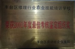 美女的屁股被大鸡巴操了